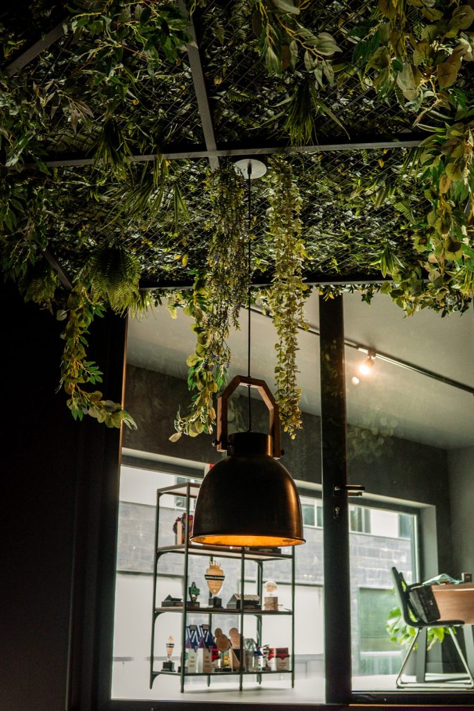 donde estamos 1 DSC5628